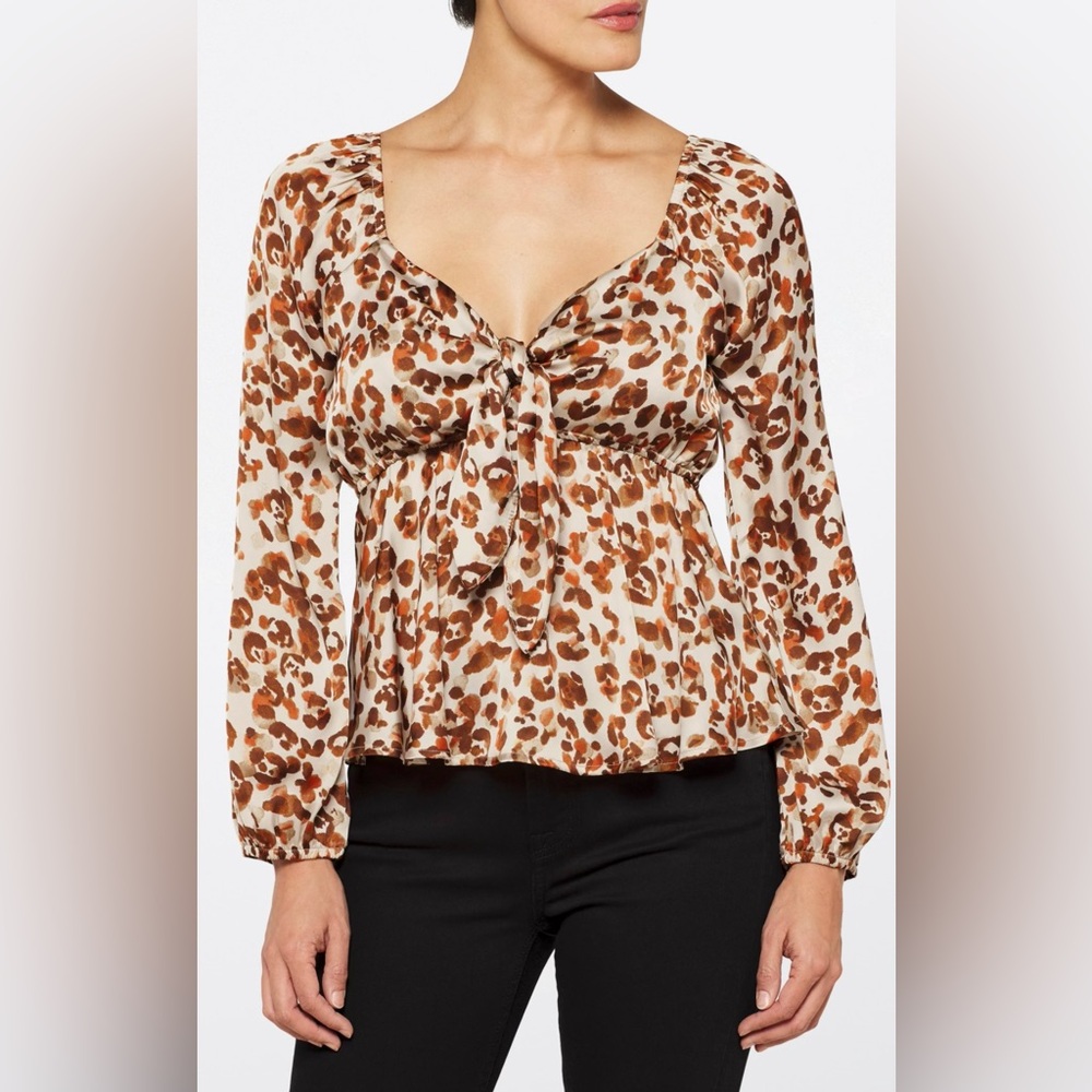 Socialite Deep V-neck Front Tie Long Sleeve Top